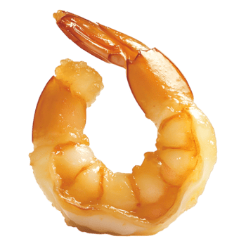 Fresh and Succulent Shrimp Isolated on for Seafood Lovers png