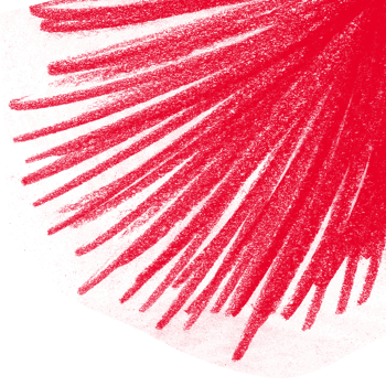 Abstract Red Background Image with White Border at the Bottom, Simple Minimalist Design for Presentations or Websites png