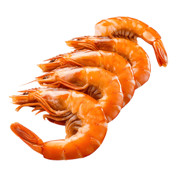 Fresh Juicy Shrimp Ready for Cooking or Serving Plate png