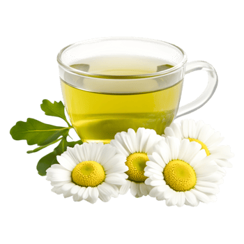 Fresh Herbal Tea with Daisies and Green Leaves in a Glass Cup png