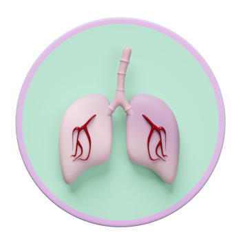 3d lung human realistic icon isolated. 3d illustration render png