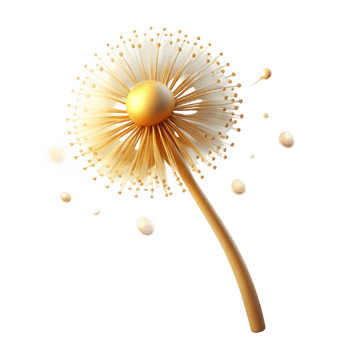 stunning creative A single, wilting dandelion, its seeds about to disperse, lit by a soft, golden light. Minimalist nature photography detailed png