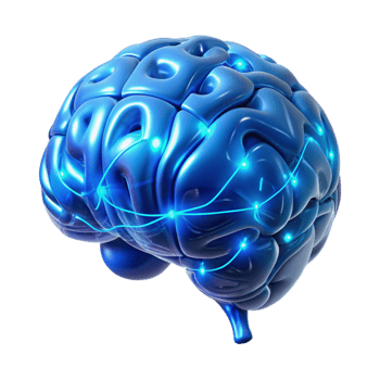 elegant artistic A holographic projection of a human brain, intricately detailed with neural pathways illuminated by electric blue light, rendered in a futuristic, minimalist style exclusive png