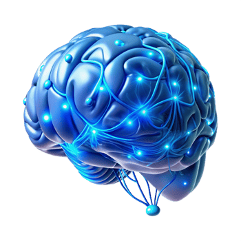 wonderful traditional A holographic projection of a human brain, intricately detailed with neural pathways illuminated by electric blue light, rendered in a futuristic, minimalist style authentic png