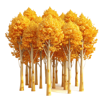 beautiful modern A grove of aspen trees with golden leaves in autumn, vibrant colors, impressionistic style professional png