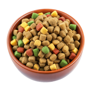 A Bowl of Colorful and Delicious Pet Food kibble isolated on transparent background png