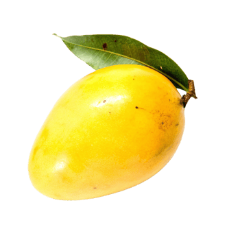A Single Yellow Mango with a Green Leaf Isolated on Black Background png