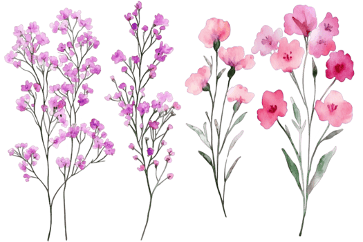 Watercolor Floral Arrangement png
