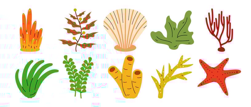 Stylized underwater marine life elements, seaweeds corals and a starfish vector