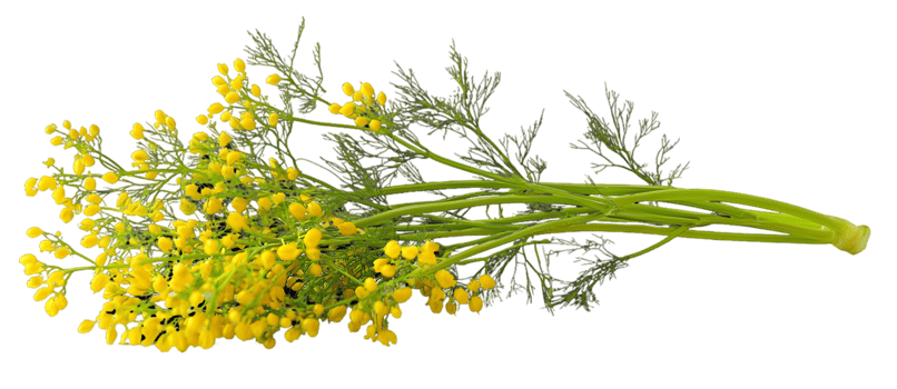 Yellow Flowers Bouquet On Black Background png