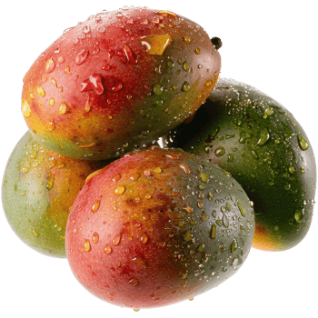 Fresh and Juicy Mangos with Water Droplets on a White Background for Healthy Food Lifestyle Concepts png