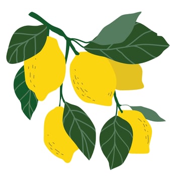Fresh lemon fruits in Hand-drawn style set, Drawing of food elements for design menu label packaging vector