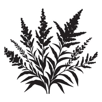 Wildflowers Illustration Goldenrod Floral Design Element Graphic Resource vector