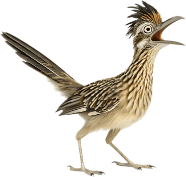 Colorful Roadrunner Bird in a Cheerful Pose. . png