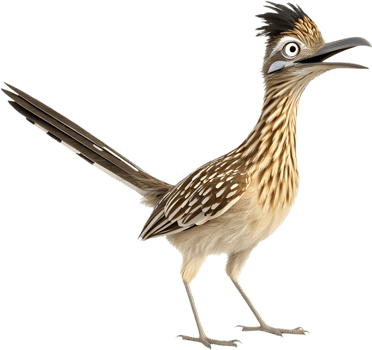 Speedy Roadrunner Bird with a Lively Expression. . png