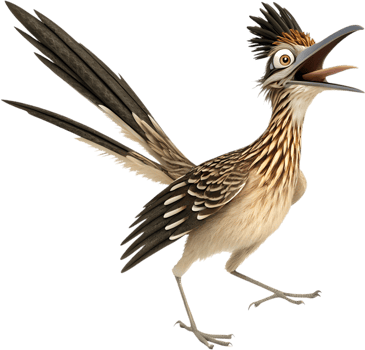 Desert Bird Roadrunner with Stunning Animation. . png