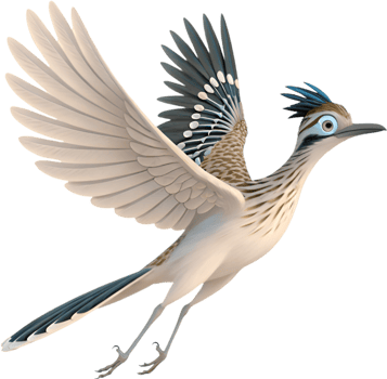 Fast Roadrunner Bird with Colorful Feathers. . png
