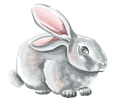 Rabbit. Easter watercolor illustration png