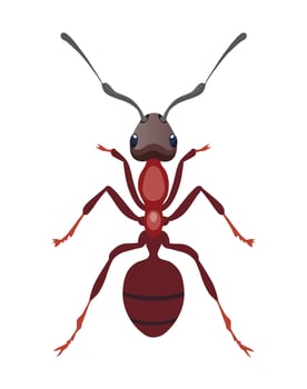 brown pretty and cartoon ant vector