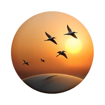 dramatic traditional A group of migrating birds silhouetted against the sunset, dramatic lighting, minimalist style authentic png