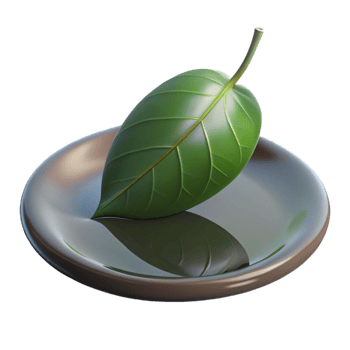 vibrant traditional A single leaf floating on a still pond, reflective lighting, minimalist style genuine png