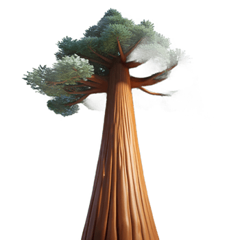 impressive rustic A giant sequoia tree reaching towards the starry night sky, low angle shot, majestic and awe-inspiring professional png