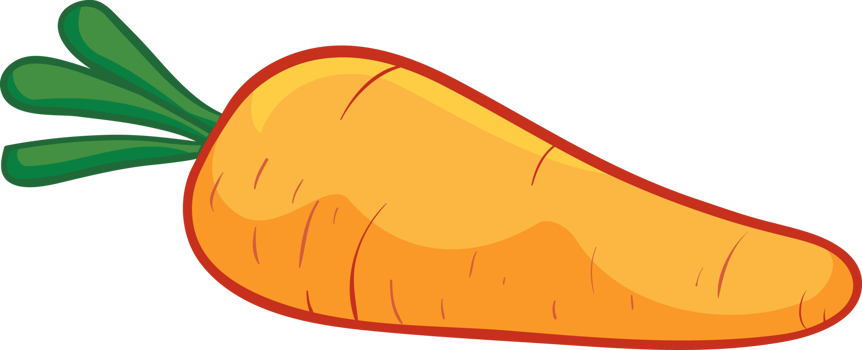 Textbook illustration of carrots png