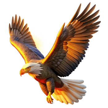 stunning creative A majestic bald eagle soaring through a cloudy sky, illuminated by a golden sunset, hyperrealistic style, intense detail on feathers and talons premium png
