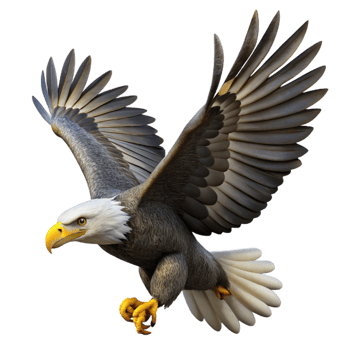 magnificent traditional A majestic bald eagle soaring through the air, talons outstretched, with a powerful, wildlife photography style exclusive png