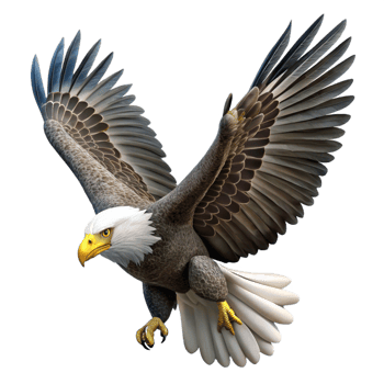 vibrant traditional A majestic bald eagle soaring through the sky, its wings spread wide, rendered in a powerful, realistic style high resolution png