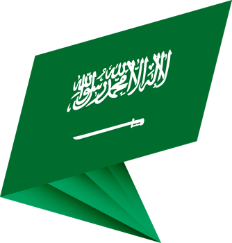 Flag of Saudi Arabia, modern pin flag png