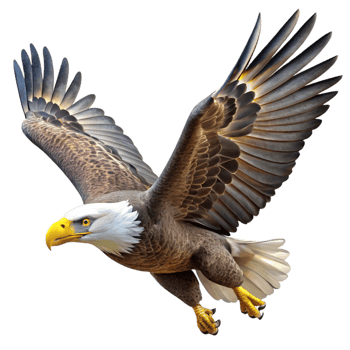impressive traditional A bald eagle soaring through the sky, powerful and majestic, photorealistic style, natural lighting exclusive png
