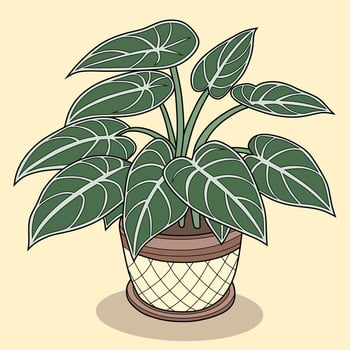 Colorful Philodendron Plant Illustration vector