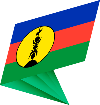 Flag of New Caledonia, modern pin flag png