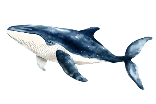 Watercolor Illustration of a Blue Whale Swimming on Transparent Background Isolated Marine Animal Design for Decoration and Art Projects png