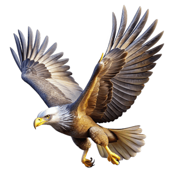 serene classic A majestic eagle soaring through the sky, dynamic lighting, wildlife photography style high resolution png