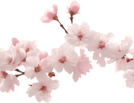 Digital Art Of Sakura Flowers In Seamless Pattern. . png