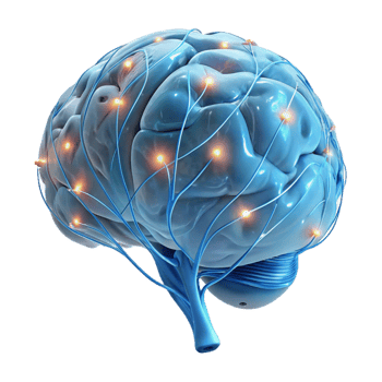 stunning classic A transparent, anatomical model of a human brain, neural pathways illuminated by pulsing, bioluminescent light. Medical illustration style, scientific visualization professional png