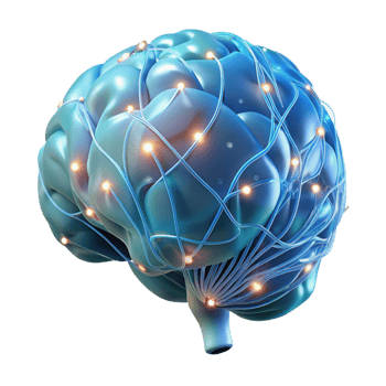 stunning contemporary A transparent, anatomical model of a human brain, neural pathways illuminated by pulsing, bioluminescent light. Medical illustration style, scientific visualization genuine png