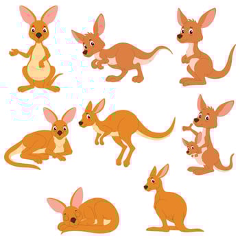 Eight cartoon kangaroos in varied poses, perfect for children's books, educational materials, and wildlife themed designs in need of playful characters. vector