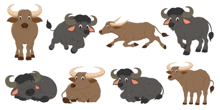 Eight cartoon water buffaloes in various poses, perfect for children's books, educational materials, for farm themed designs. Cute and charming characters. vector