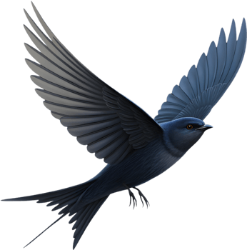 Charming Sparrow Bird Perched Gracefully With Soft Feathers. . png