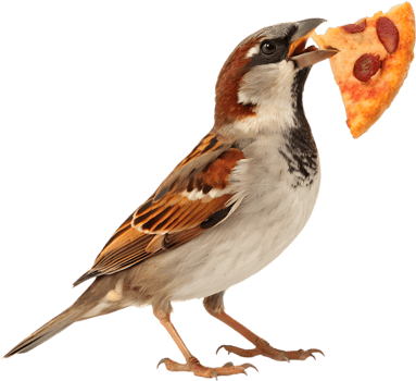 Nature Inspired Sparrow Bird Illustration With A Cute Charm. . png