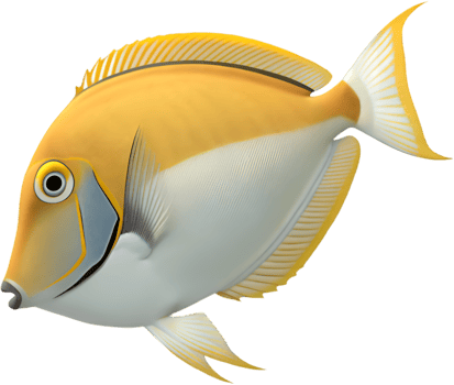Lively Tang Fish Clipart Featuring Bright, Tropical Marine Life Colors. . png