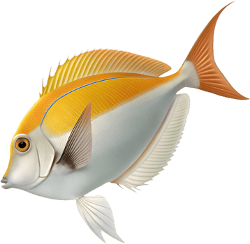 Vibrant and Detailed Tang Fish Clipart for Creative Design Projects. . png