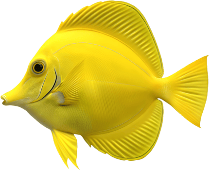 Vibrant Tropical Tang Fish Clipart for Digital Artists and Creatives. . png