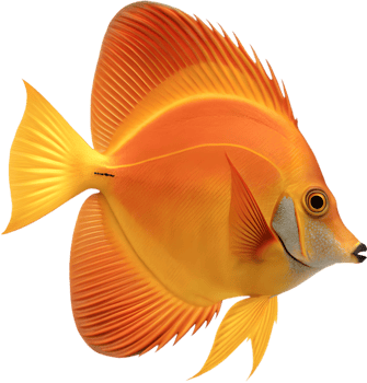 Vibrant Tang Fish Illustrations in Bright and Bold Colors. . png