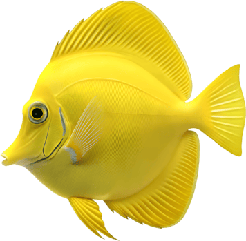 Artistic Tang Fish Clipart Featuring Lively and Colorful Designs. . png