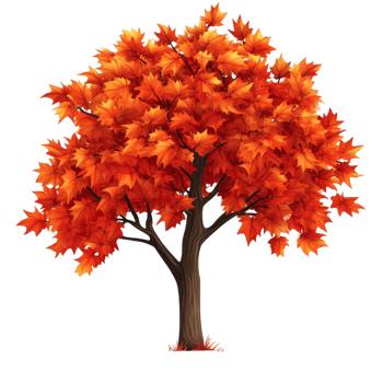 Autumn Tree with Bright Orange Leaves png