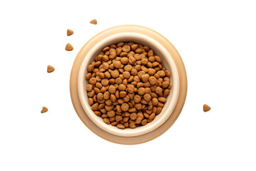 Dry pet food in a bowl, top view png